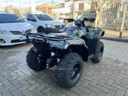 HONDA - TRX 420 - 2019/2019 - Verde - R$ 43.800,00